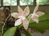 M_2010-07-29_028.JPG